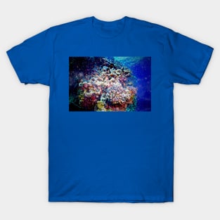 OTHERWORLDS T-Shirt